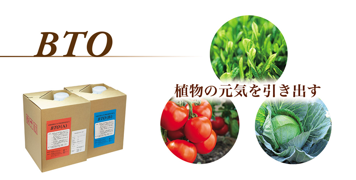 bto_img_01.png