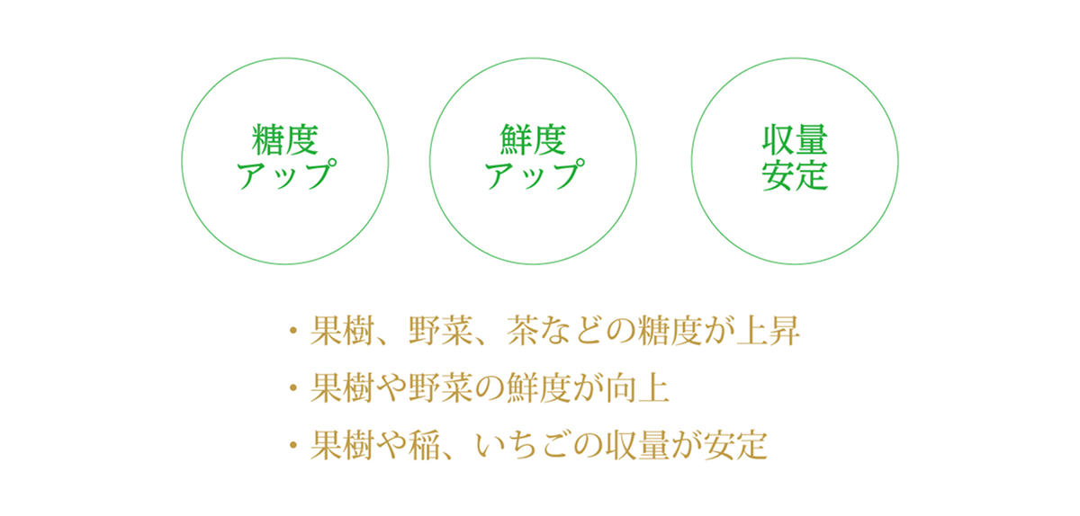 bto_img_02.png