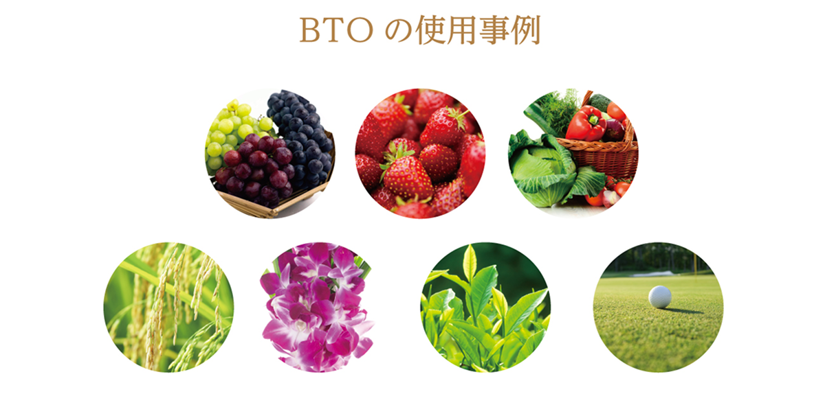 bto_img_04.png