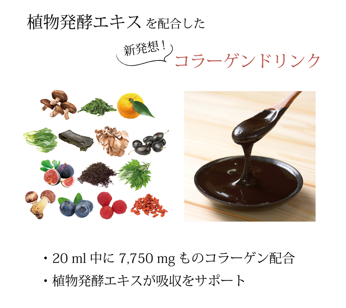 collagen_img_02.png