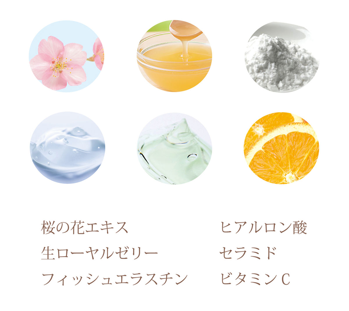 collagen_img_04.png