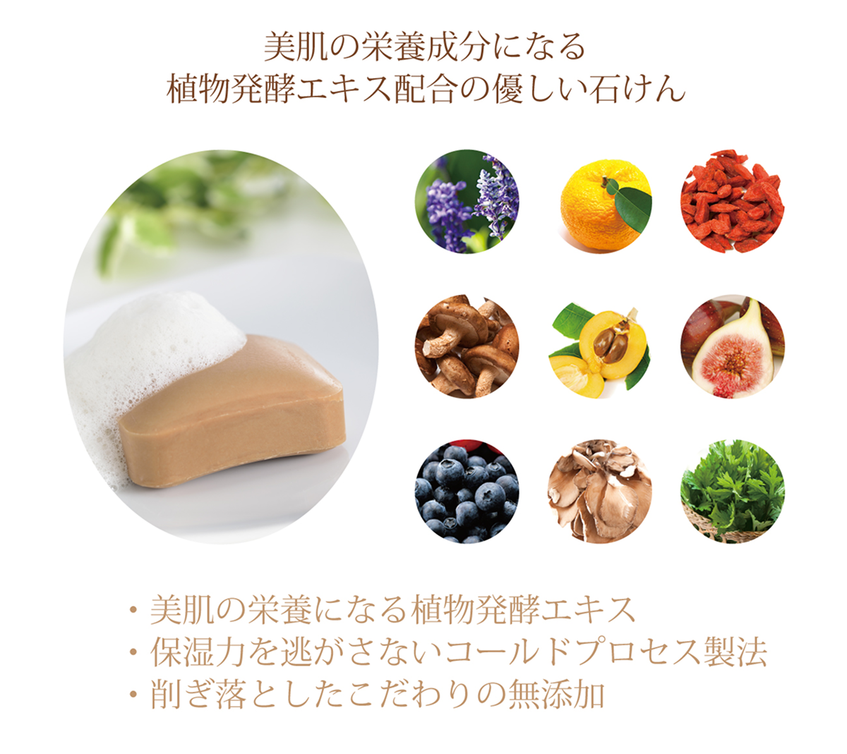 omx_soap_img_02.png