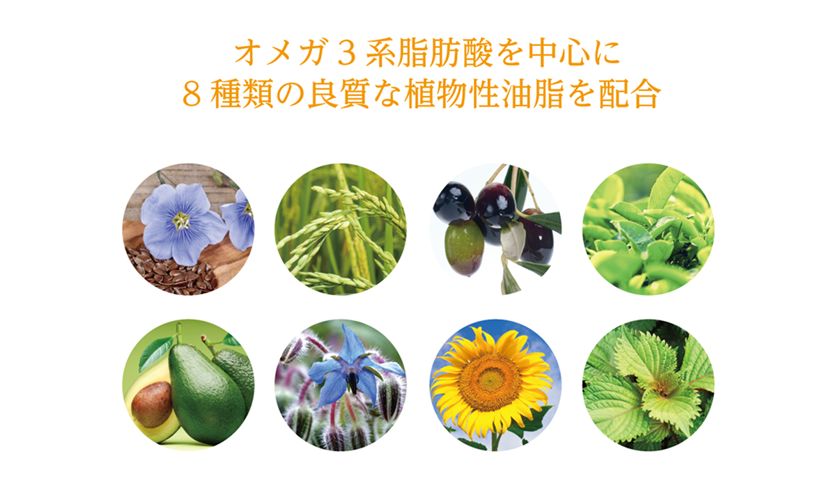 plant_oil_img_02.png