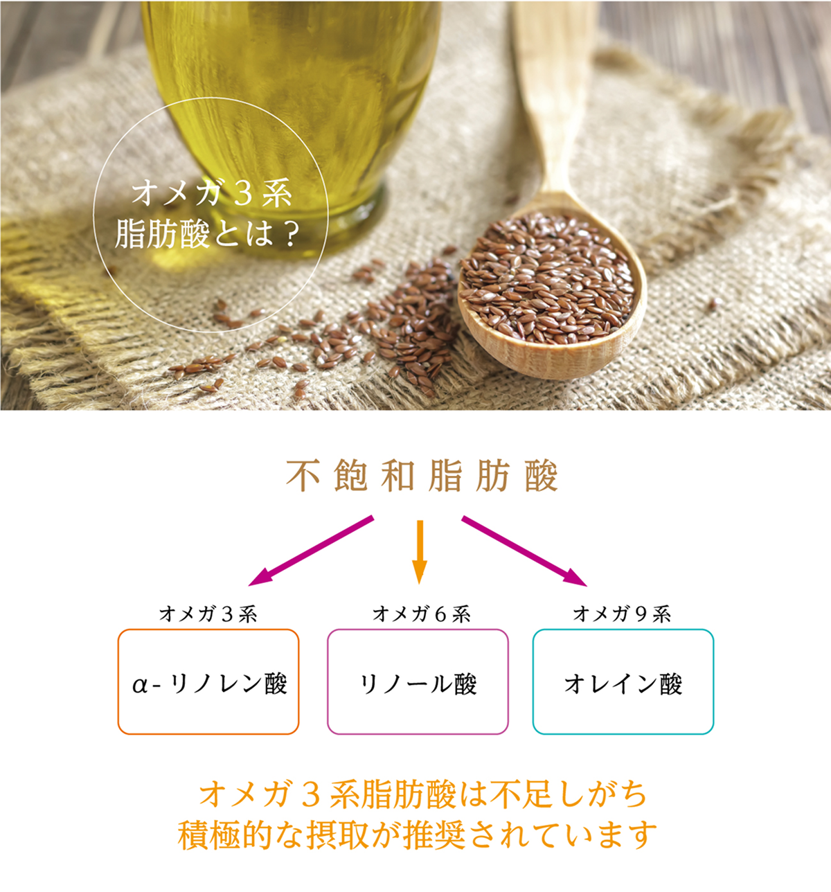 plant_oil_img_04.png