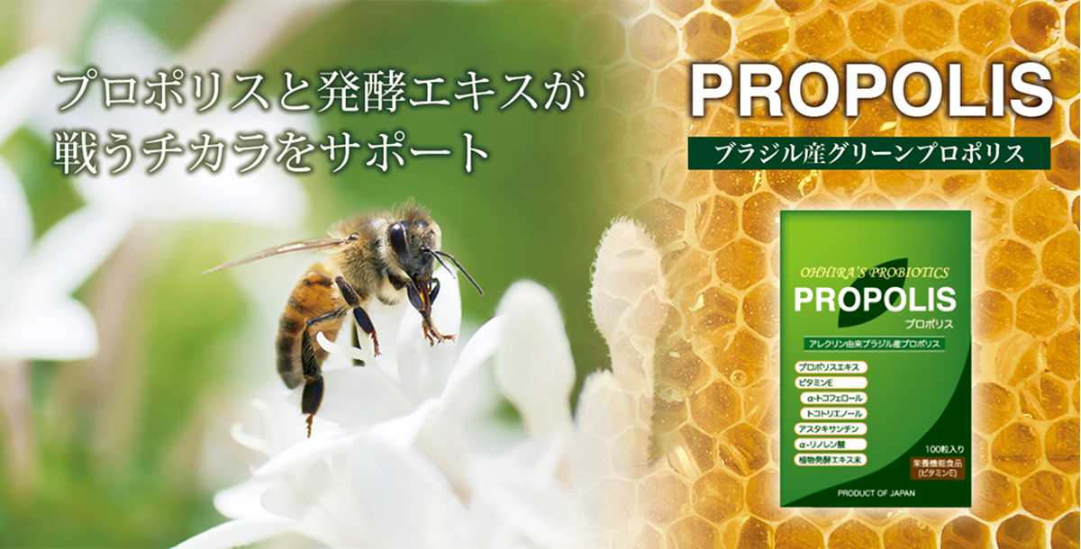 propolis_img_01.png