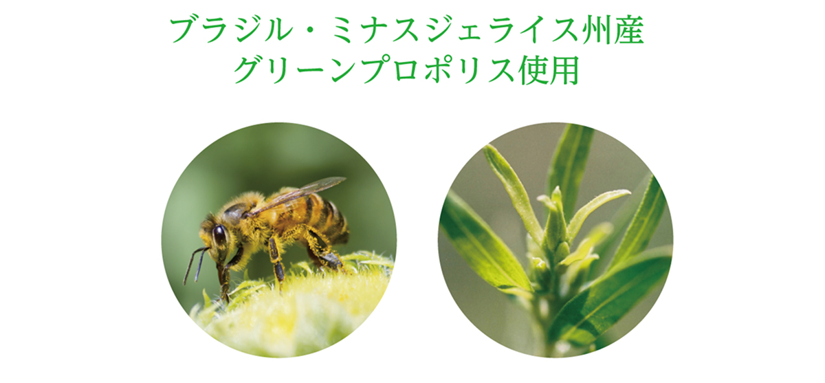 propolis_img_02.png