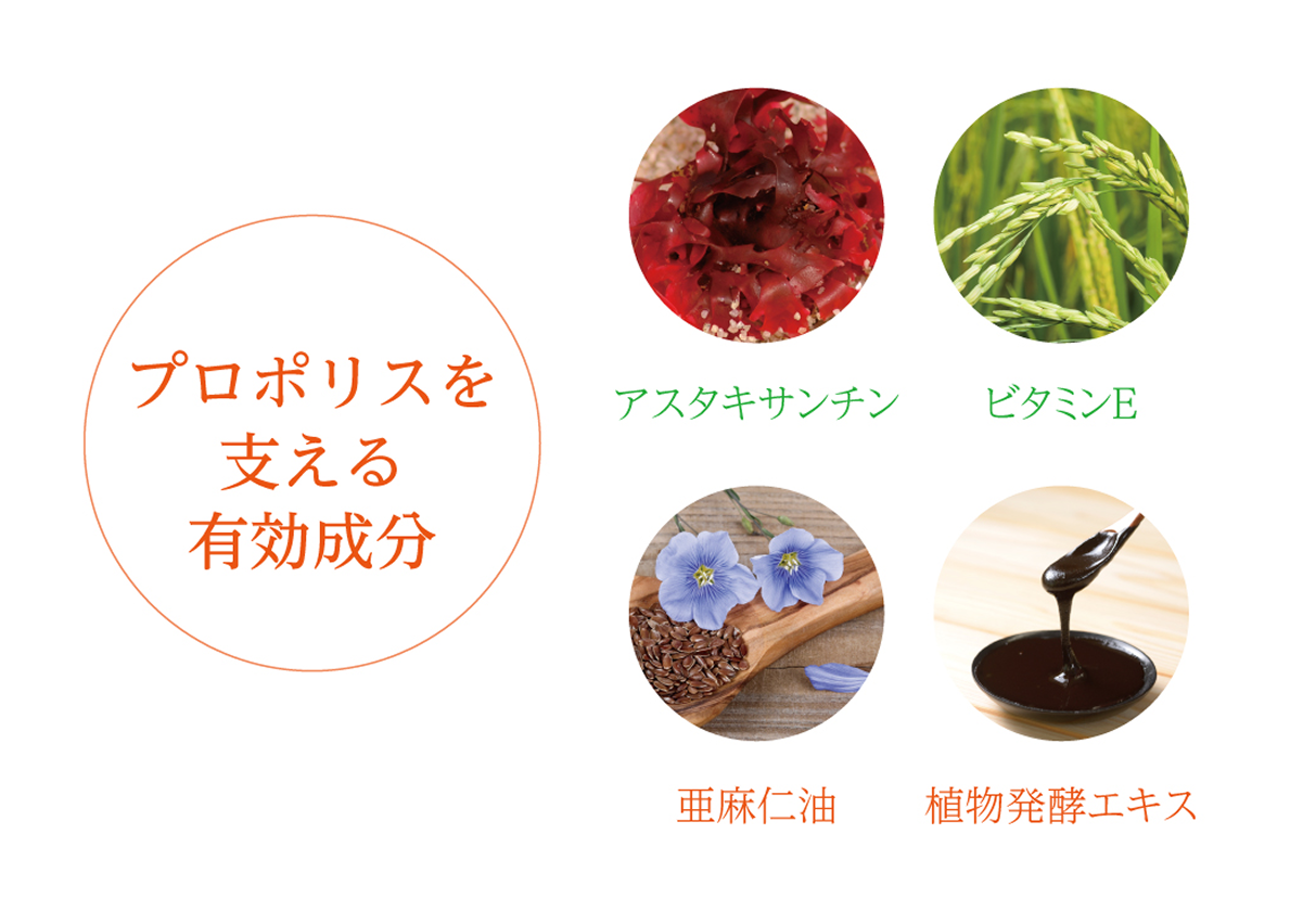 propolis_img_04.png